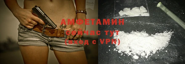 сатива Абаза