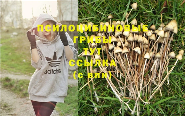 COCAINE Абдулино