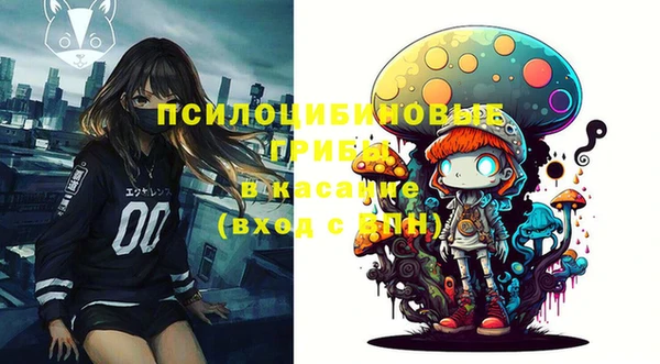 сатива Абаза