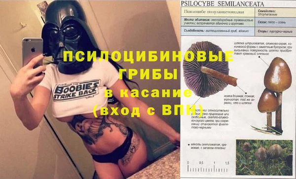сатива Абаза