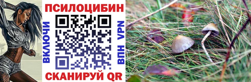ссылка на мегу ССЫЛКА  Серпухов  Псилоцибиновые грибы Psilocybe  даркнет сайт 